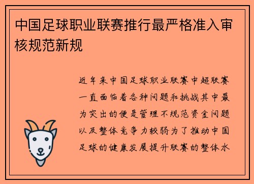 中国足球职业联赛推行最严格准入审核规范新规