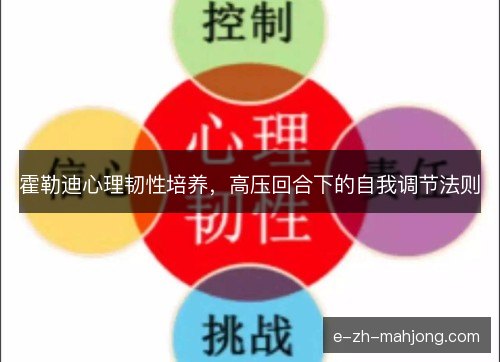 霍勒迪心理韧性培养,高压回合下的自我调节法则 霍勒迪心理韧性培养,高压回合下的自我调节法则
